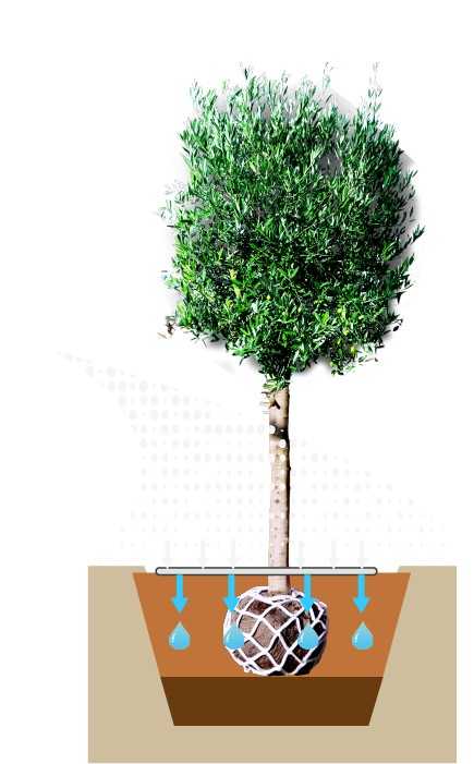 Salfix-Mat soll Bäume gegen Streusalz schützen