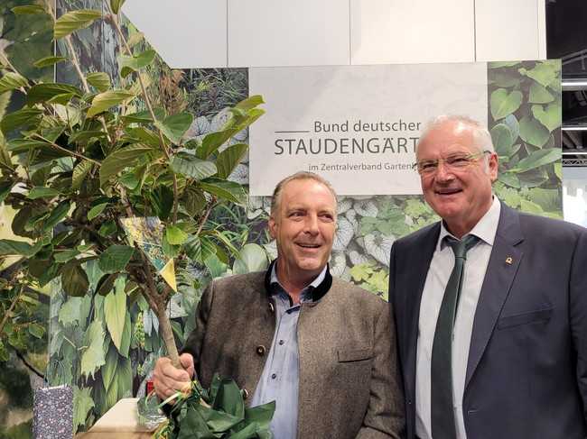 BdB-Präsident Helmut Selders kommt mit einem kleinen Baum. | Foto: Bettina Banse