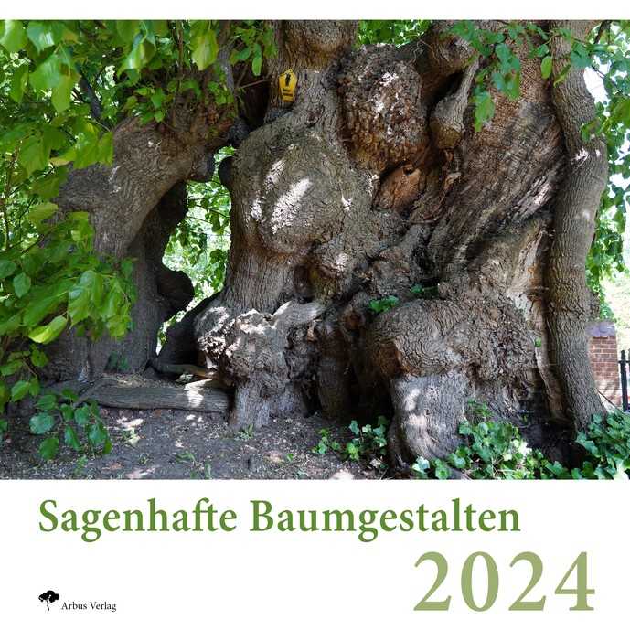 Diese im Landkreis Vorpommern-Rügen wachsende Linde beeindruckt mit einem Stammumfang von 11 m. Ihr Alter mag bei 700 Jahren liegen. | Foto: Peter Klug