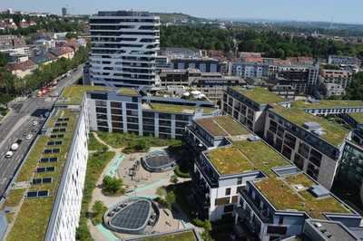 Gebäudebegrünung als Klimawandel-Anpassungsmaßnahme
