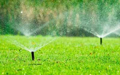 Verbände klären über nachhaltige Gartenbewässerung auf
