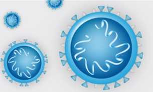 Linktipp: Coronavirus und Vergaberecht