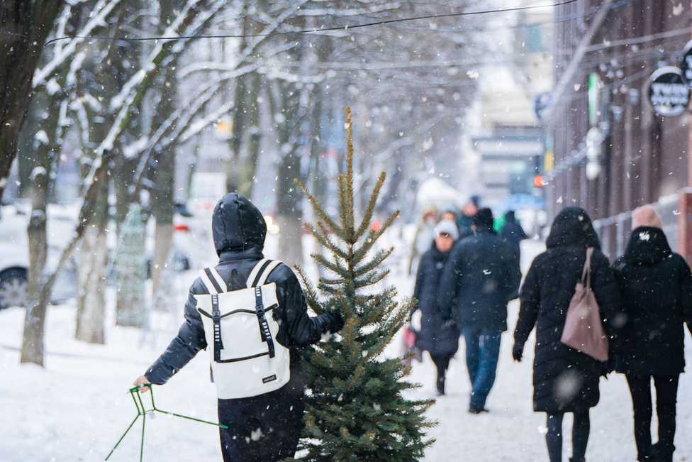 Weihnachtsbaum: Klein und nachhaltig liegt im Trend