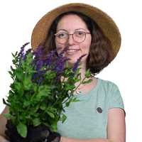 Julia Schmidt Julia Schmidt