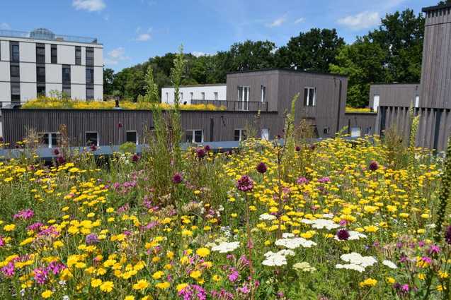 Schutz gegen Hitze und Überflutungen Schutz gegen Hitze und Überflutungen