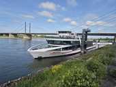 Branchentreff auf dem Rhein Branchentreff auf dem Rhein