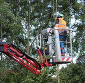 Vom Klettern zur Arbeitsbühne: Baumpflege mit neuer Arbeitsbühne Vom Klettern zur Arbeitsbühne: Baumpflege mit neuer Arbeitsbühne