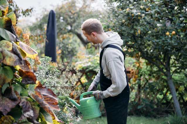 Bewerbung bis Ende Dezember 2025 einreichen Bewerbung bis Ende Dezember 2025 einreichen